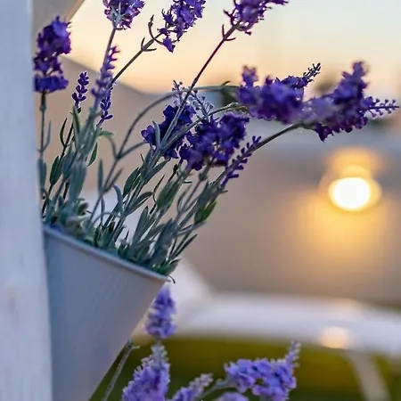 Cuore Di Sardegna וילה ואלדוריה