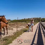 Villa Cuore Di Sardegna