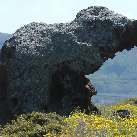 Cuore Di Sardegna Valledoria (Sardinia)