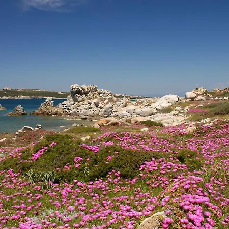 Cuore Di Sardegna